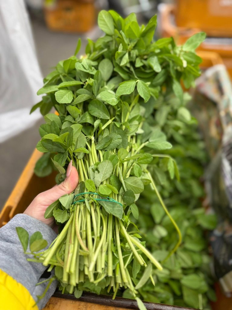 Bunches of fresh Asian greens
