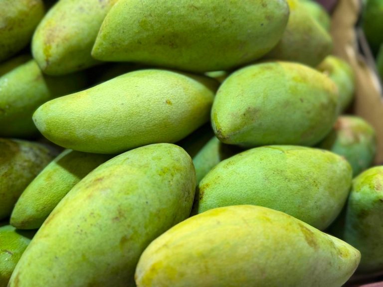 Green mangoes in store