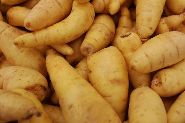 Small finger potatoes like Kipflers
